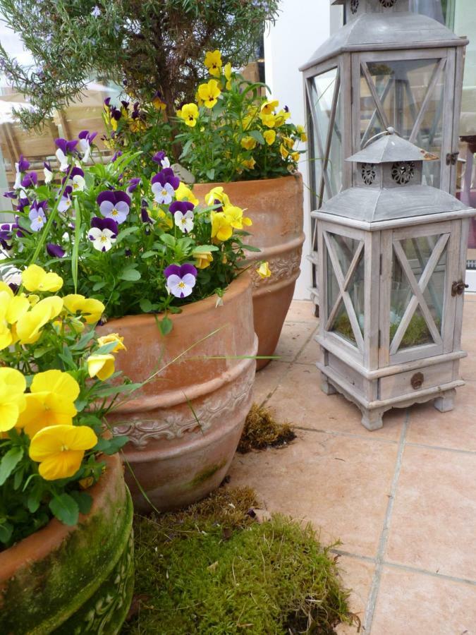 Pension Bergterrasse Annweiler am Trifels Kültér fotó