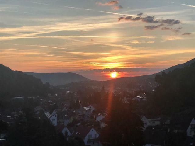 Pension Bergterrasse Annweiler am Trifels Kültér fotó