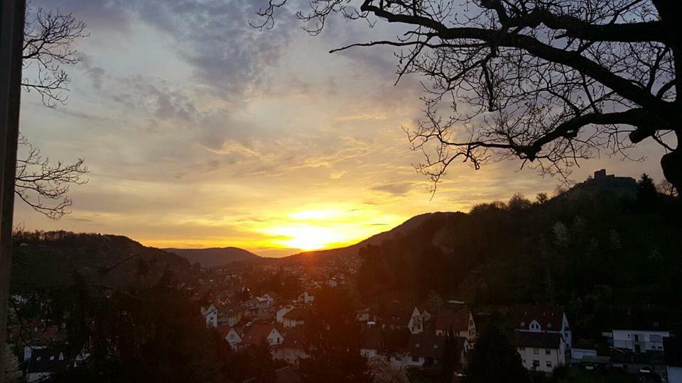 Pension Bergterrasse Annweiler am Trifels Kültér fotó